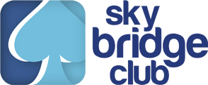 sky bridge logo